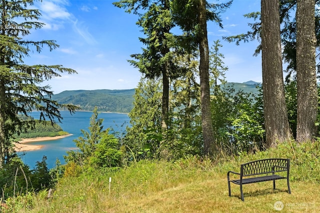 140 Sunset Rdg, Mossyrock, WA 98564 - photo 2