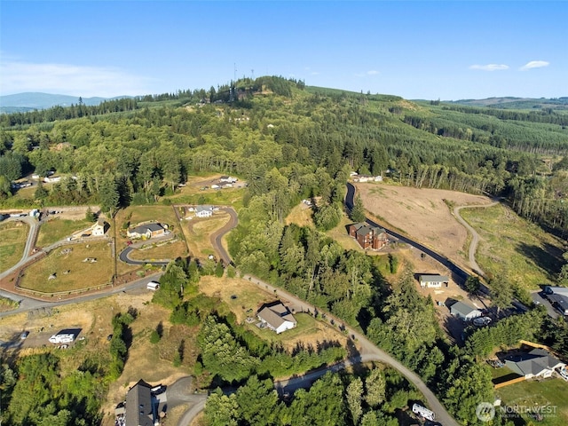 233 Powder Hill Dr, Kalama, WA 98625 - photo 31
