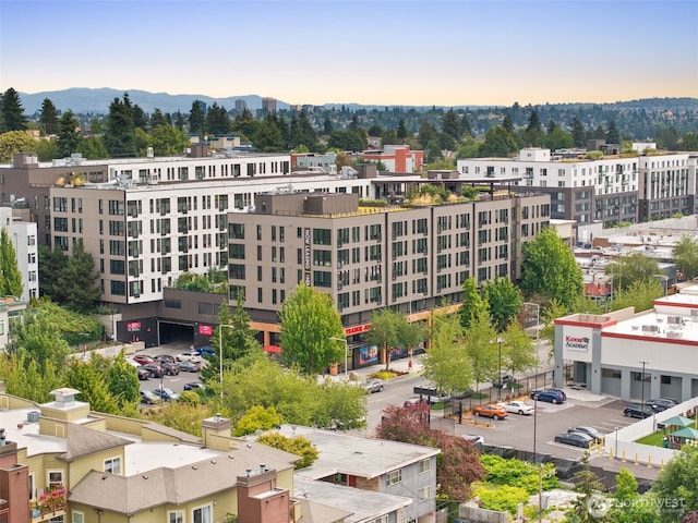 8745 Greenwood Ave N Unit 209, Seattle, WA 98103 - photo 35