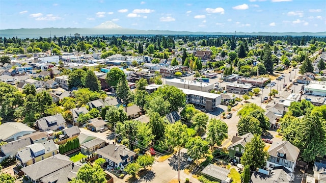 711 N Junett St, Tacoma, WA 98406 - photo 37