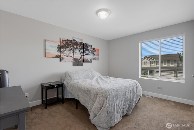 12516 176th St E, Puyallup, WA 98374 - photo 24