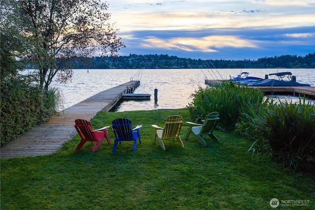 7236 Holly Hill Dr, Mercer Island, WA 98040 - photo 39