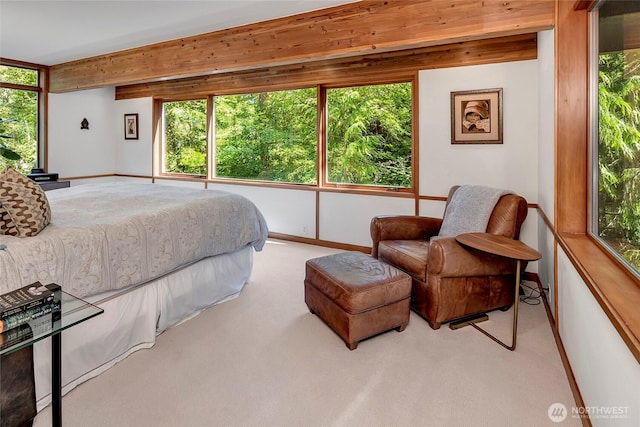 7236 Holly Hill Dr, Mercer Island, WA 98040 - photo 25