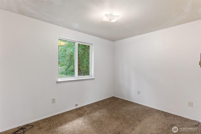 110 Torrey Ln, Chehalis, WA 98532 - photo 10