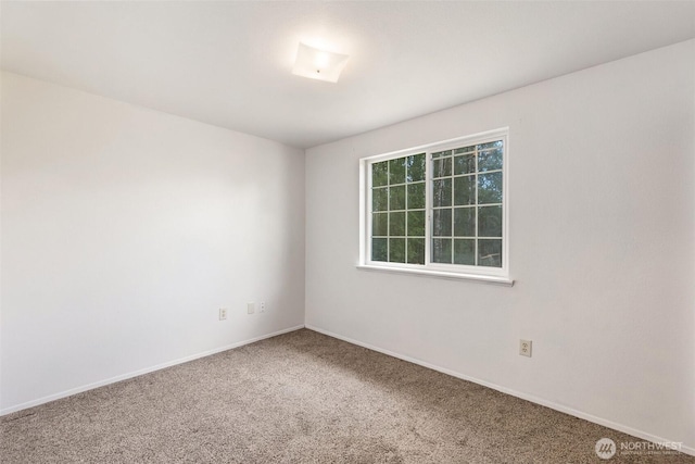 110 Torrey Ln, Chehalis, WA 98532 - photo 11