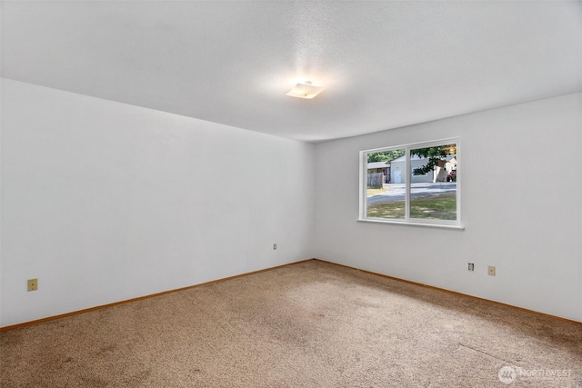 110 Torrey Ln, Chehalis, WA 98532 - photo 12