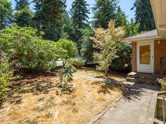 9743 46th Ave NE, Seattle, WA 98115 - photo 3