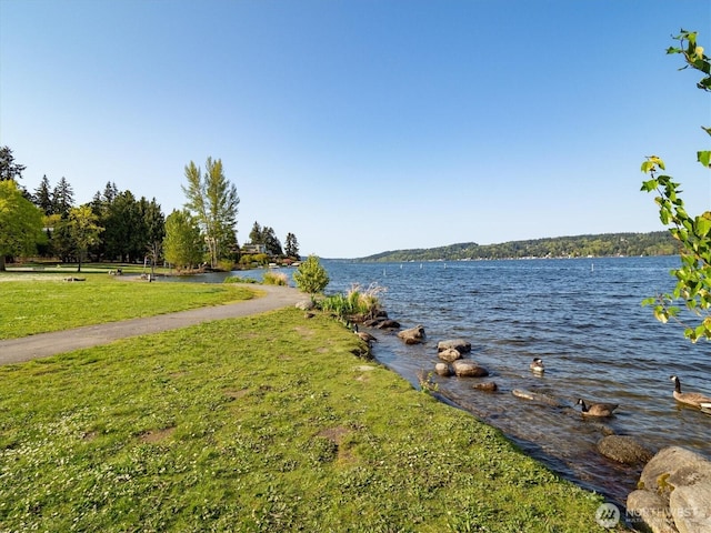 9743 46th Ave NE, Seattle, WA 98115 - photo 35