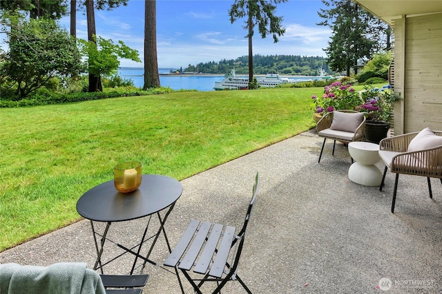 965 Winslow Way E Unit 104, Bainbridge Island, WA 98110 - photo 10