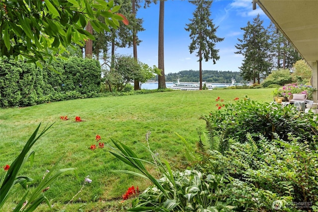 965 Winslow Way E Unit 104, Bainbridge Island, WA 98110 - photo 22
