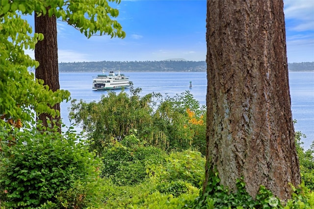 965 Winslow Way E Unit 104, Bainbridge Island, WA 98110 - photo 29