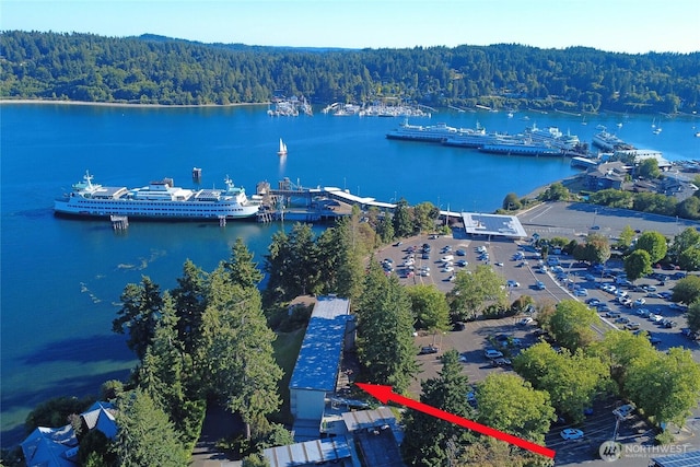 965 Winslow Way E Unit 104, Bainbridge Island, WA 98110 - photo 31