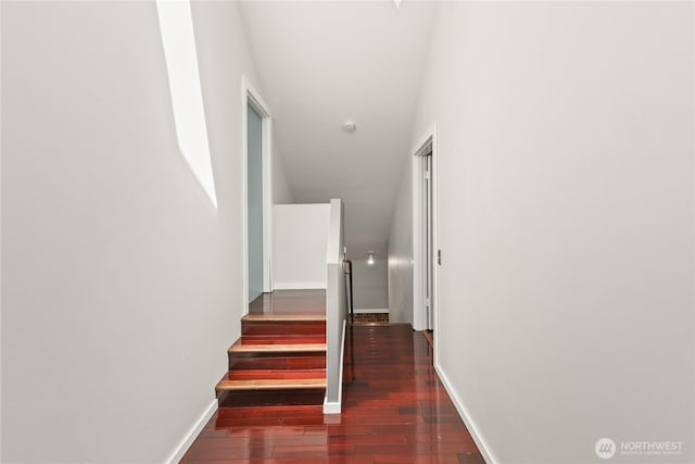 923 N 13th St Unit 5, Tacoma, WA 98403 - photo 15