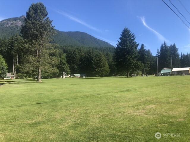 254 Mountain View Dr, Packwood, WA 98361 - photo 33
