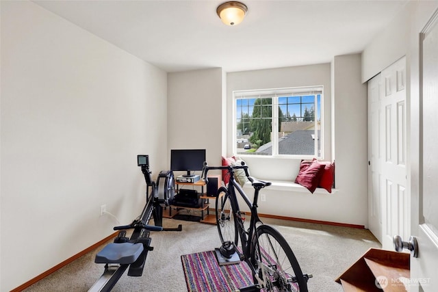 341 S French Ave, Arlington, WA 98223 - photo 33