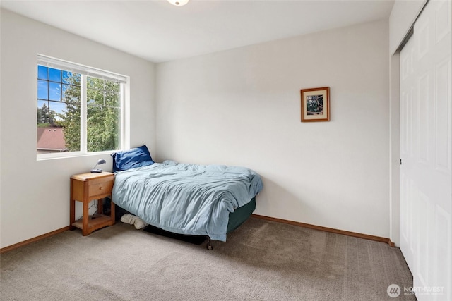 341 S French Ave, Arlington, WA 98223 - photo 35