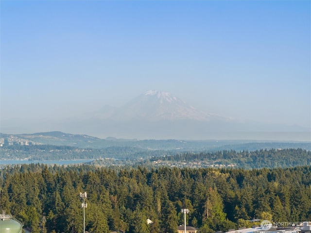 19004 12th Ave NE, Shoreline, WA 98155 - photo 37