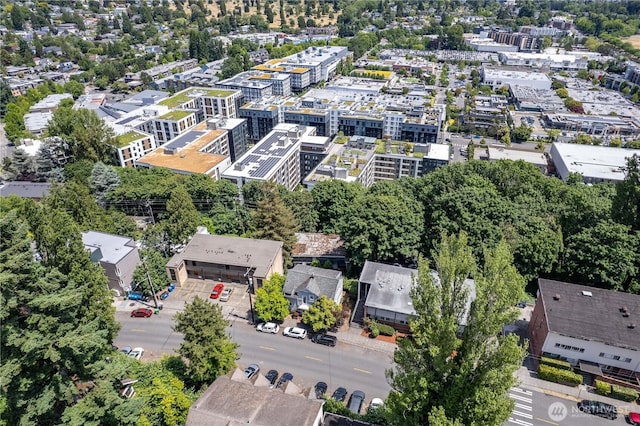 4710 22nd Ave NE, Seattle, WA 98105 - photo 9