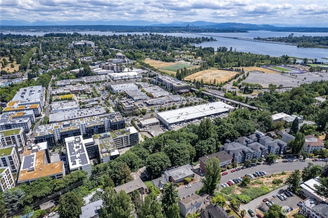 4710 22nd Ave NE, Seattle, WA 98105 - photo 10