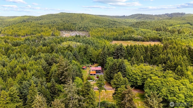 38 Ocean View Dr S, Taholah, WA 98587 - photo 2