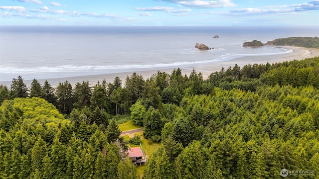 38 Ocean View Dr S, Taholah, WA 98587 - photo 4