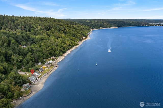 26321 Pillsbury Rd SW, Vashon, WA 98070 - drone / aerial view of a heavily wooded area and a large body of water