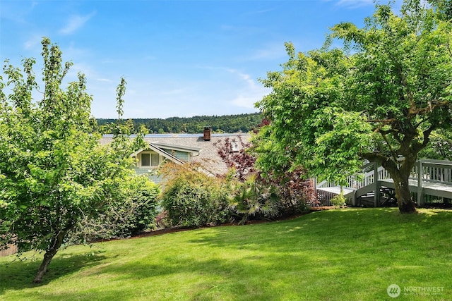 26321 Pillsbury Rd SW, Vashon, WA 98070 - view of grassy yard with a wooden deck