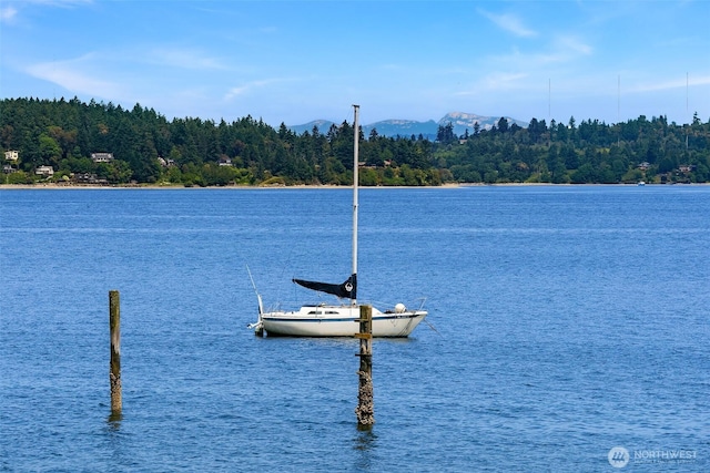 26321 Pillsbury Rd SW, Vashon, WA 98070 - water view featuring a boat dock and a heavily wooded area
