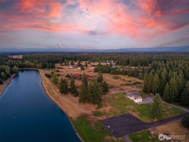 15424 127th Ln SE, Yelm, WA 98597 - photo 3