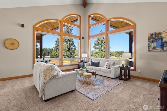 15424 127th Ln SE, Yelm, WA 98597 - photo 6