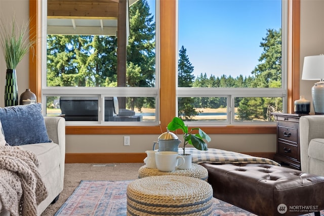 15424 127th Ln SE, Yelm, WA 98597 - photo 8