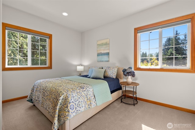 15424 127th Ln SE, Yelm, WA 98597 - photo 23