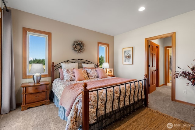 15424 127th Ln SE, Yelm, WA 98597 - photo 16
