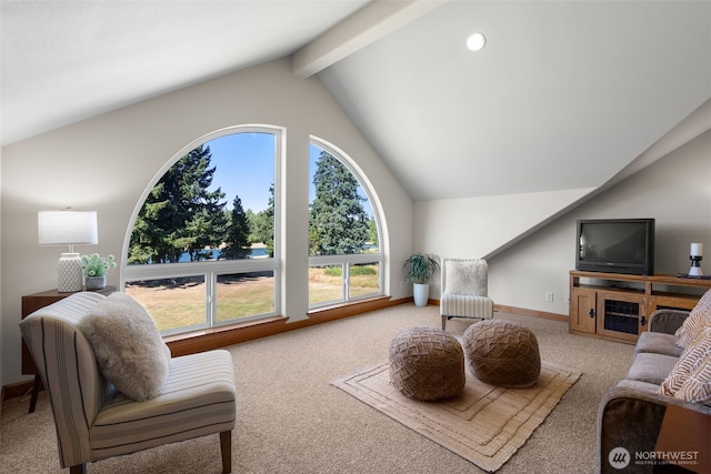 15424 127th Ln SE, Yelm, WA 98597 - photo 32