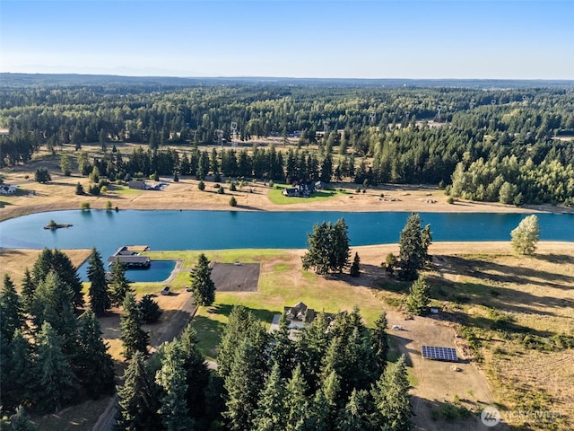 15424 127th Ln SE, Yelm, WA 98597 - photo 39