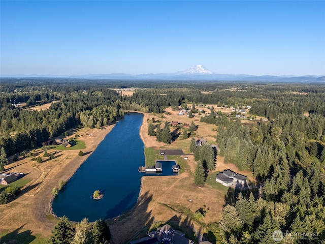 15424 127th Ln SE, Yelm, WA 98597 - photo 40