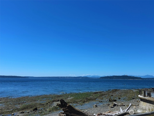 3204 Alki Ave SW Unit 1, Seattle, WA 98116 - photo 32