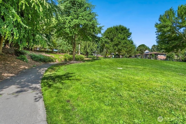14404 34th Ln S, Tukwila, WA 98168 - photo 32