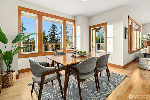 1875 10th Ave NE, Issaquah, WA 98029 - photo 12