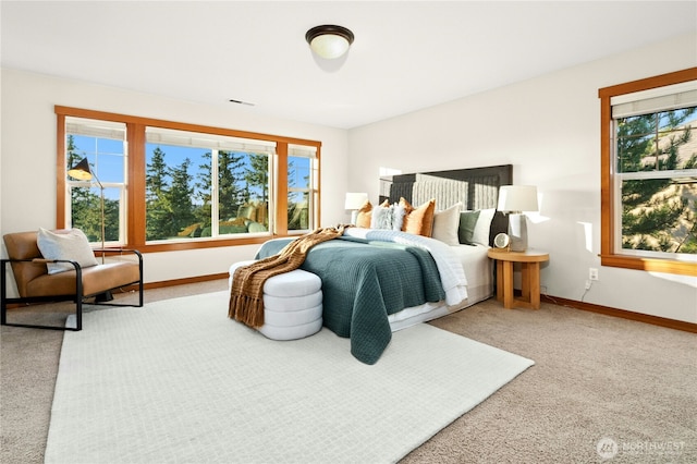 1875 10th Ave NE, Issaquah, WA 98029 - photo 18