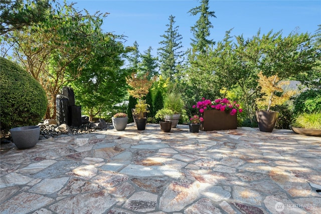 1875 10th Ave NE, Issaquah, WA 98029 - photo 37
