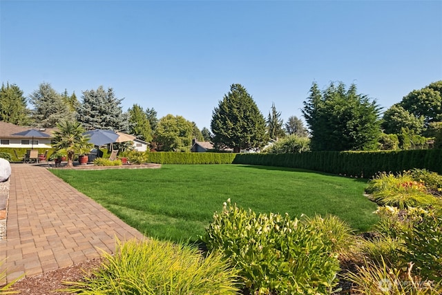 13835 SE 241st St, Kent, WA 98042 - photo 29