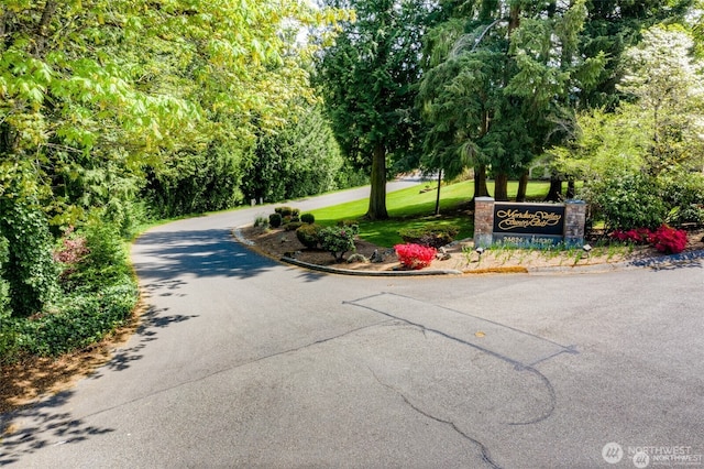 13835 SE 241st St, Kent, WA 98042 - photo 35