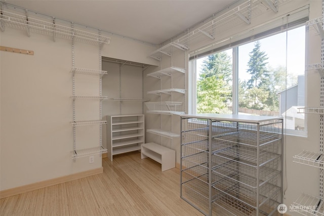 22004 117th Ave SE, Kent, WA 98031 - photo 16