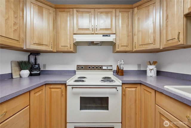 28823 46th Pl S, Auburn, WA 98001 - photo 21
