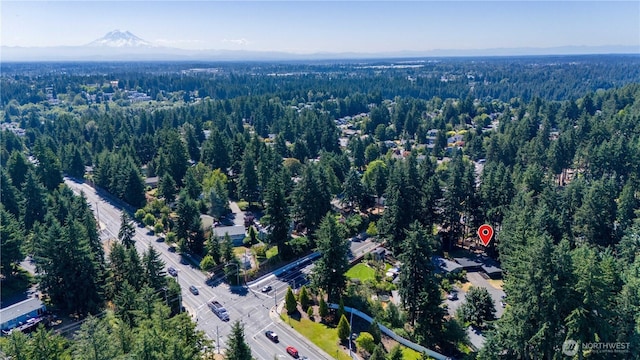 5215 68th Ave W, University Place, WA 98467 - photo 34