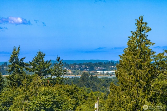 7620 9th St SE, Lake Stevens, WA 98258 - photo 28