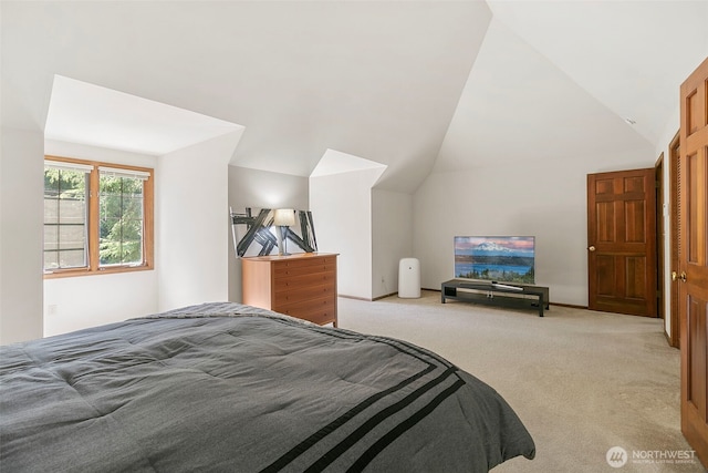 13603 171st Ave NE, Redmond, WA 98052 - photo 11