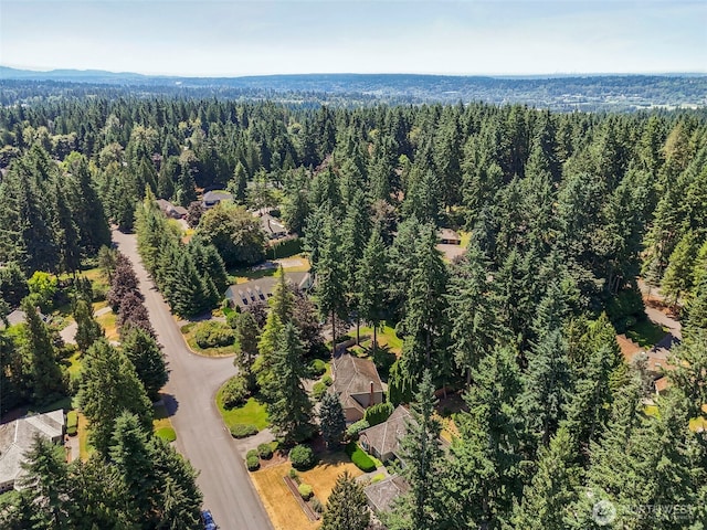13603 171st Ave NE, Redmond, WA 98052 - photo 26
