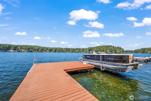 2211 E Mason Lake Dr E, Grapeview, WA 98546 - photo 31